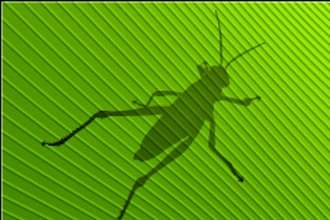 Grasshopper Workshop